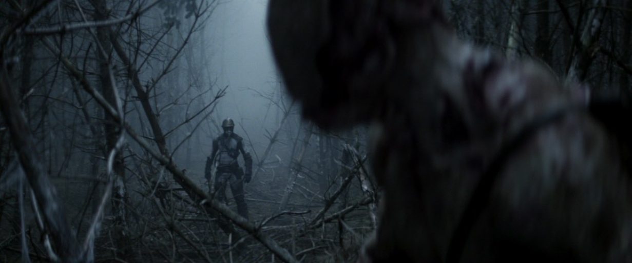 DEGENESIS SACRIFICE | ZORAN BIHAC