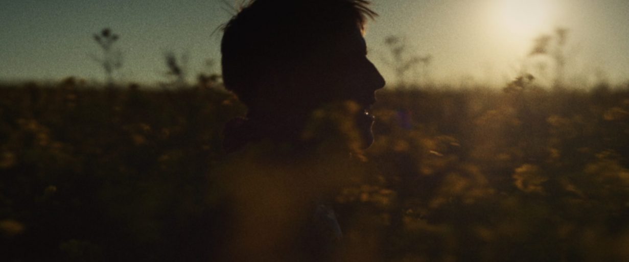 RADEBERGER ALKOHOLFREI I PAUL GERWIEN