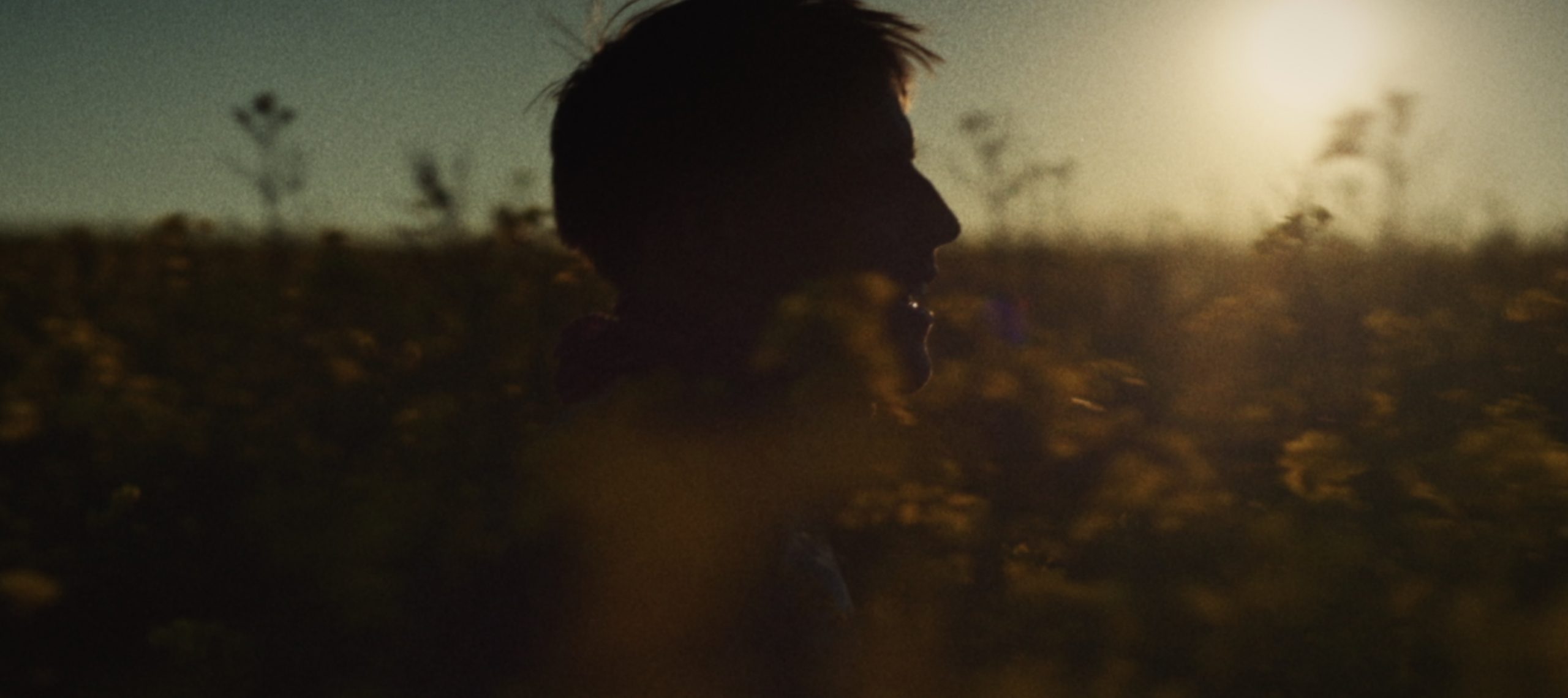 RADEBERGER ALKOHOLFREI I PAUL GERWIEN